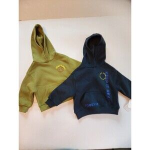 Grayson Mini Fleece Hoodie Boys Green & Blue Set Of 2 Typography Embroidered